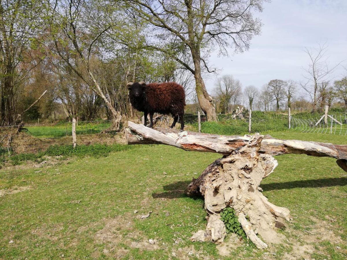 Gite De La Motte Litteau Bagian luar foto