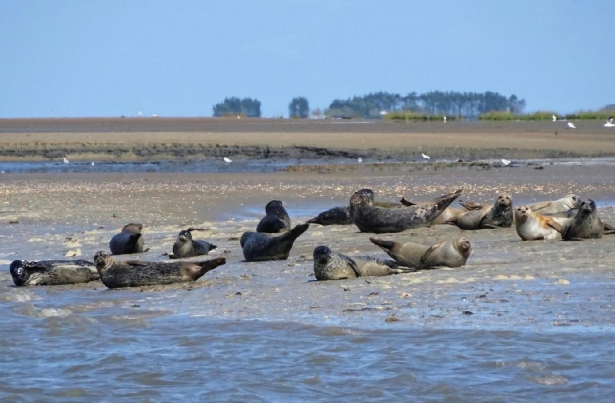 Gite De La Motte Litteau Bagian luar foto